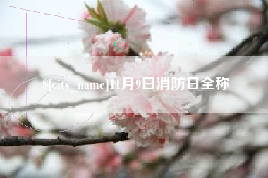 迪庆11月9日消防日全称