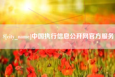 迪庆中国执行信息公开网官方服务