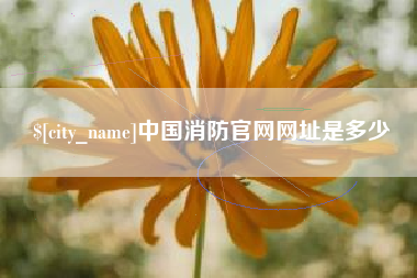 迪庆中国消防官网网址是多少