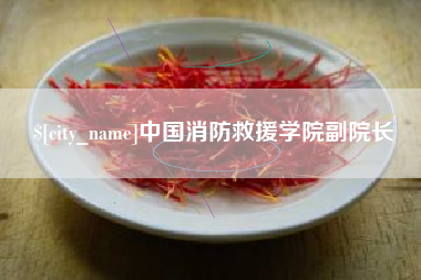 迪庆中国消防救援学院副院长