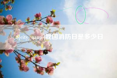 迪庆我国消防日是多少日