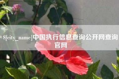 迪庆中国执行信息查询公开网查询官网