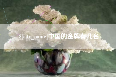 迪庆中国的金牌有几名