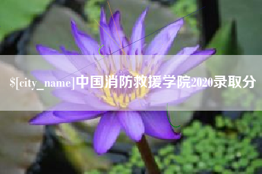 迪庆中国消防救援学院2020录取分
