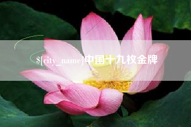 迪庆中国十九枚金牌