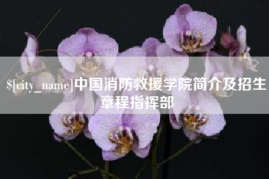 迪庆中国消防救援学院简介及招生章程指挥部