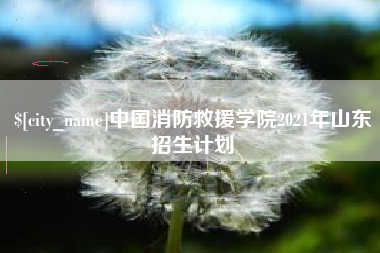 迪庆中国消防救援学院2021年山东招生计划