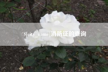 迪庆消防证的查询