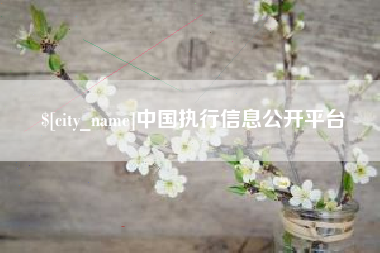 迪庆中国执行信息公开平台
