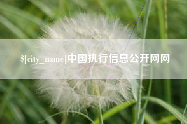 迪庆中国执行信息公开网网