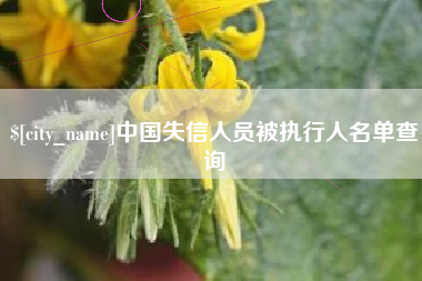 迪庆中国失信人员被执行人名单查询