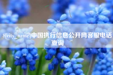 迪庆中国执行信息公开网客服电话查询