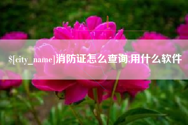 迪庆消防证怎么查询,用什么软件