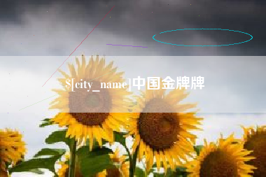 迪庆中国金牌牌