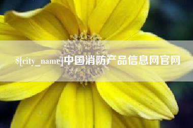 迪庆中国消防产品信息网官网