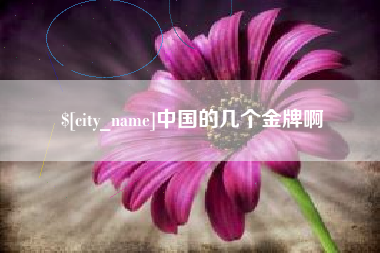 迪庆中国的几个金牌啊