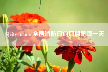 迪庆全国消防日的日期是哪一天