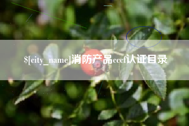 迪庆消防产品cccf认证目录