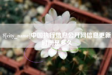 迪庆中国执行信息公开网信息更新时间是多久