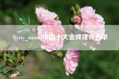 迪庆中国十大金牌律师名单
