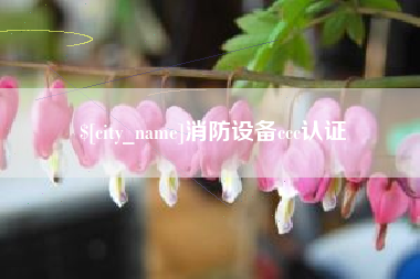 迪庆消防设备ccc认证