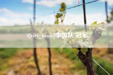 迪庆中国队 冠军