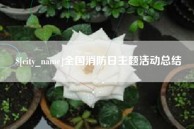 迪庆全国消防日主题活动总结