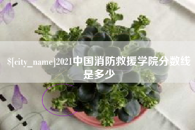 迪庆2021中国消防救援学院分数线是多少