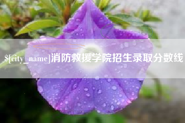 迪庆消防救援学院招生录取分数线