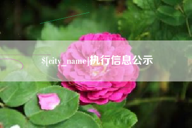 迪庆执行信息公示