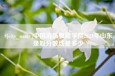 迪庆中国消防救援学院2021年山东录取分数线是多少