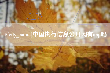 迪庆中国执行信息公开网有app吗