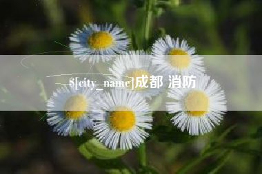 迪庆成都 消防