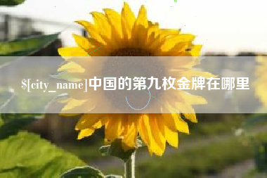 迪庆中国的第九枚金牌在哪里