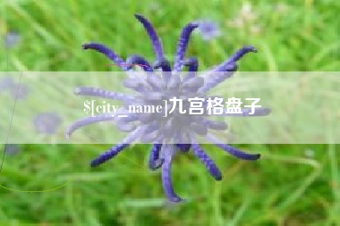 迪庆九宫格盘子