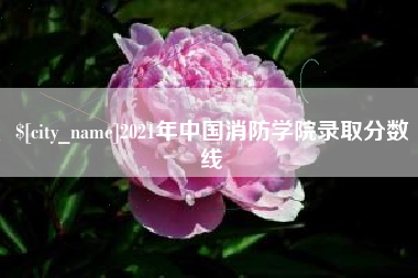 迪庆2021年中国消防学院录取分数线
