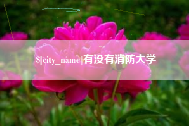 迪庆有没有消防大学