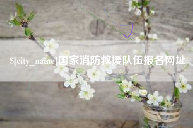 迪庆国家消防救援队伍报名网址