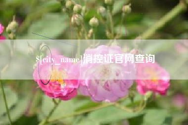 迪庆消控证官网查询