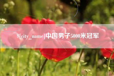 迪庆中国男子5000米冠军