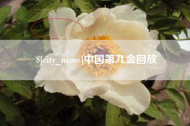 迪庆中国第九金回放