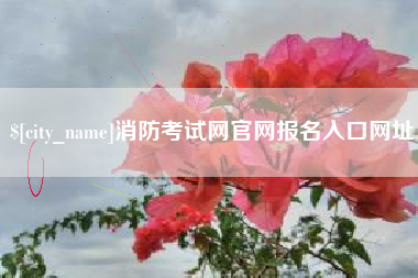 迪庆消防考试网官网报名入口网址
