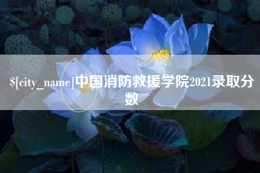 迪庆中国消防救援学院2021录取分数