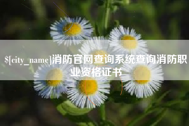 迪庆消防官网查询系统查询消防职业资格证书