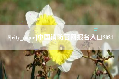迪庆中国消防官网报名入口2024