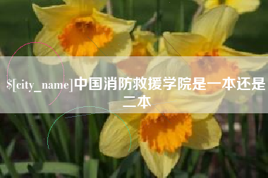 迪庆中国消防救援学院是一本还是二本