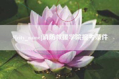迪庆消防救援学院报考条件