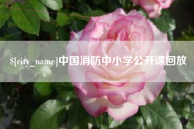迪庆中国消防中小学公开课回放