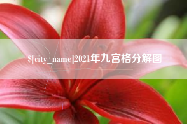 迪庆2021年九宫格分解图