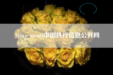 迪庆中国执行信息公开网